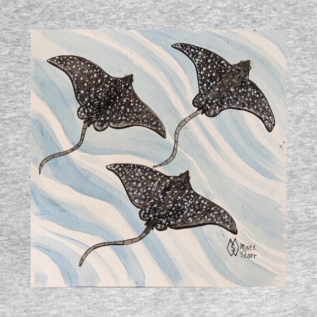 Spotted Eagle Rays by Matt Starr Fine Art